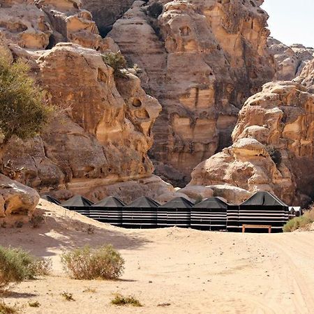 Ammarin Bedouin Camp Hotel Vádi Músza Kültér fotó