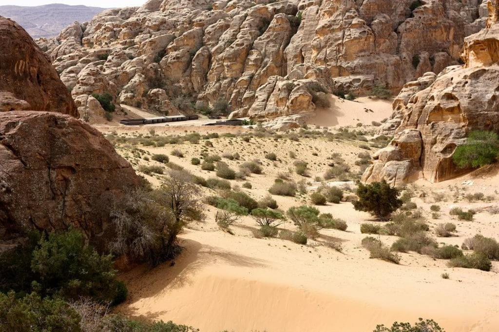 Ammarin Bedouin Camp Hotel Vádi Músza Kültér fotó