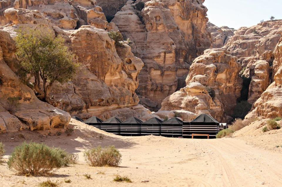 Ammarin Bedouin Camp Hotel Vádi Músza Kültér fotó