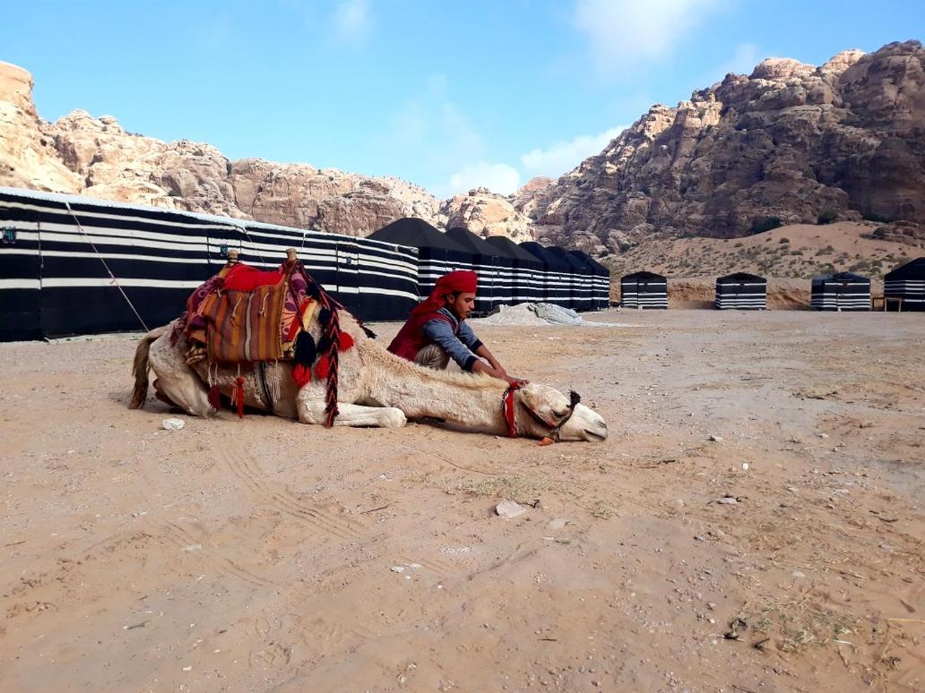 Ammarin Bedouin Camp Hotel Vádi Músza Kültér fotó